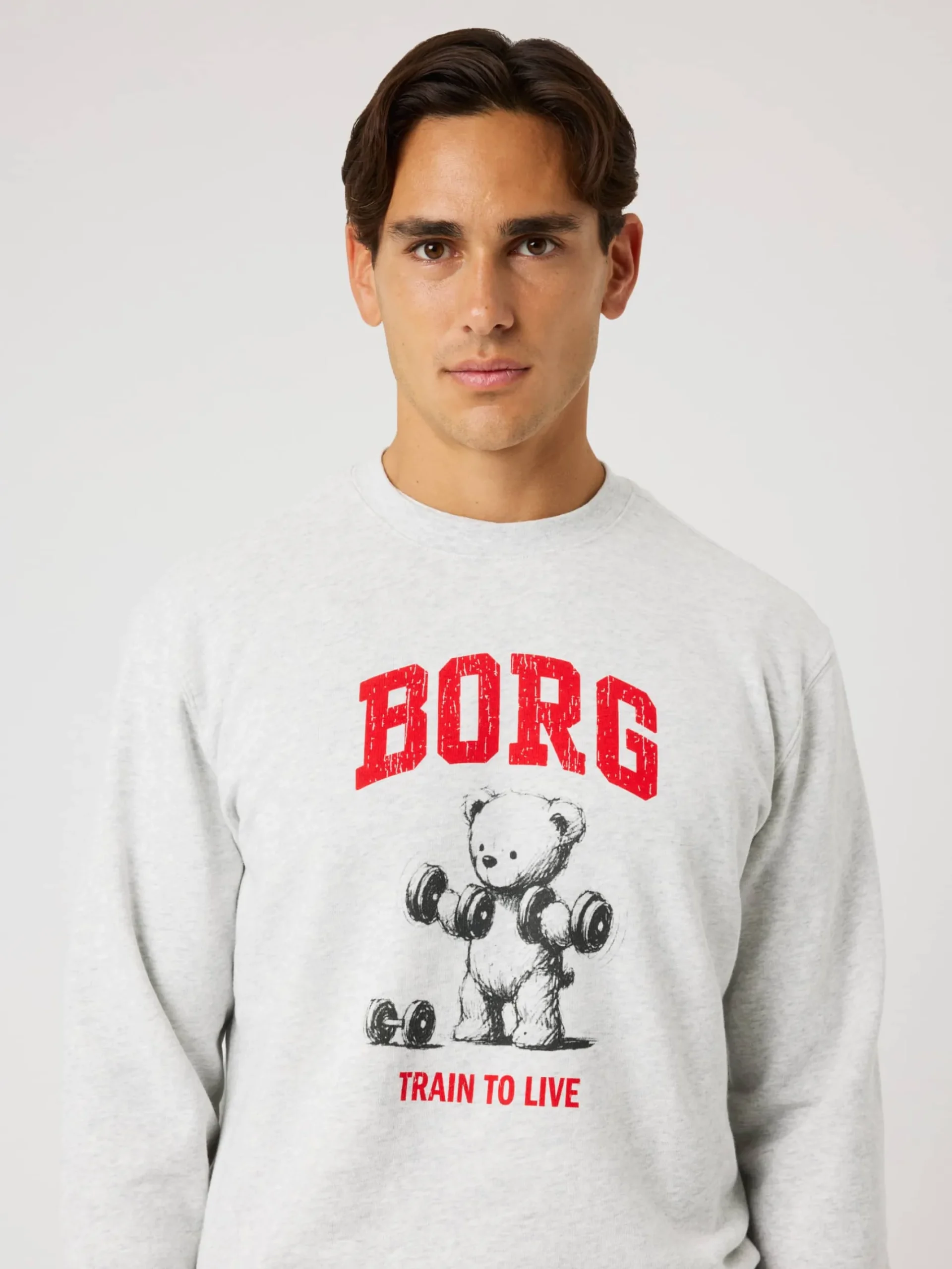 Björn Borg Tröjor|Vardag & Loungewear * Borg Caic Print weathirt Ultra Light Grey Melange