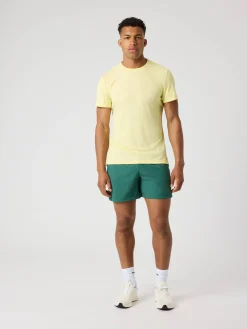 Björn Borg Gym & Träning|Shorts * Borg hort 6 Inch