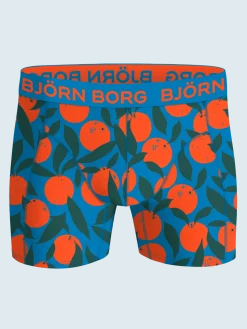 Björn Borg Boxers|Multipacks * Cotton tretch Boxer 12-pack