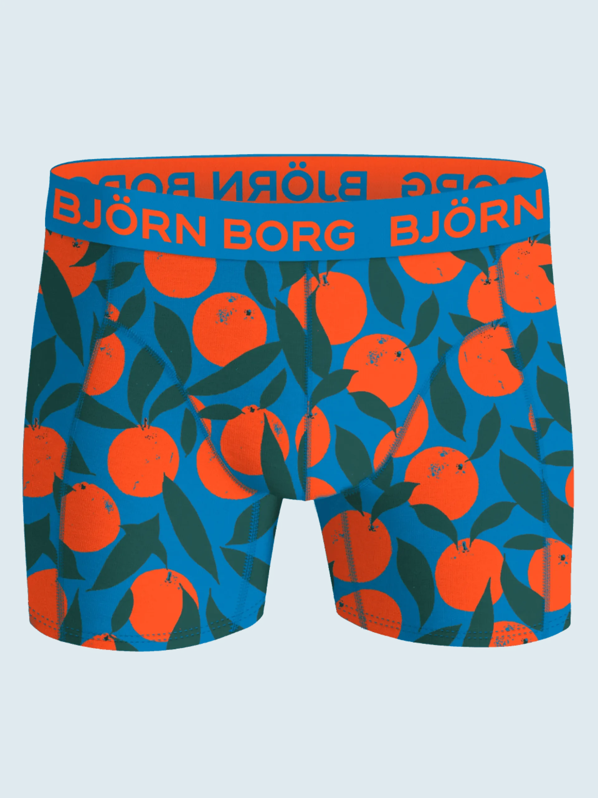 Björn Borg Boxers|Multipacks * Cotton tretch Boxer 12-pack
